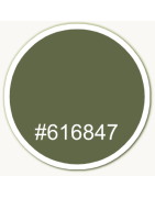 616847-50ml