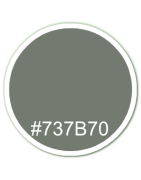 737B70-50ml